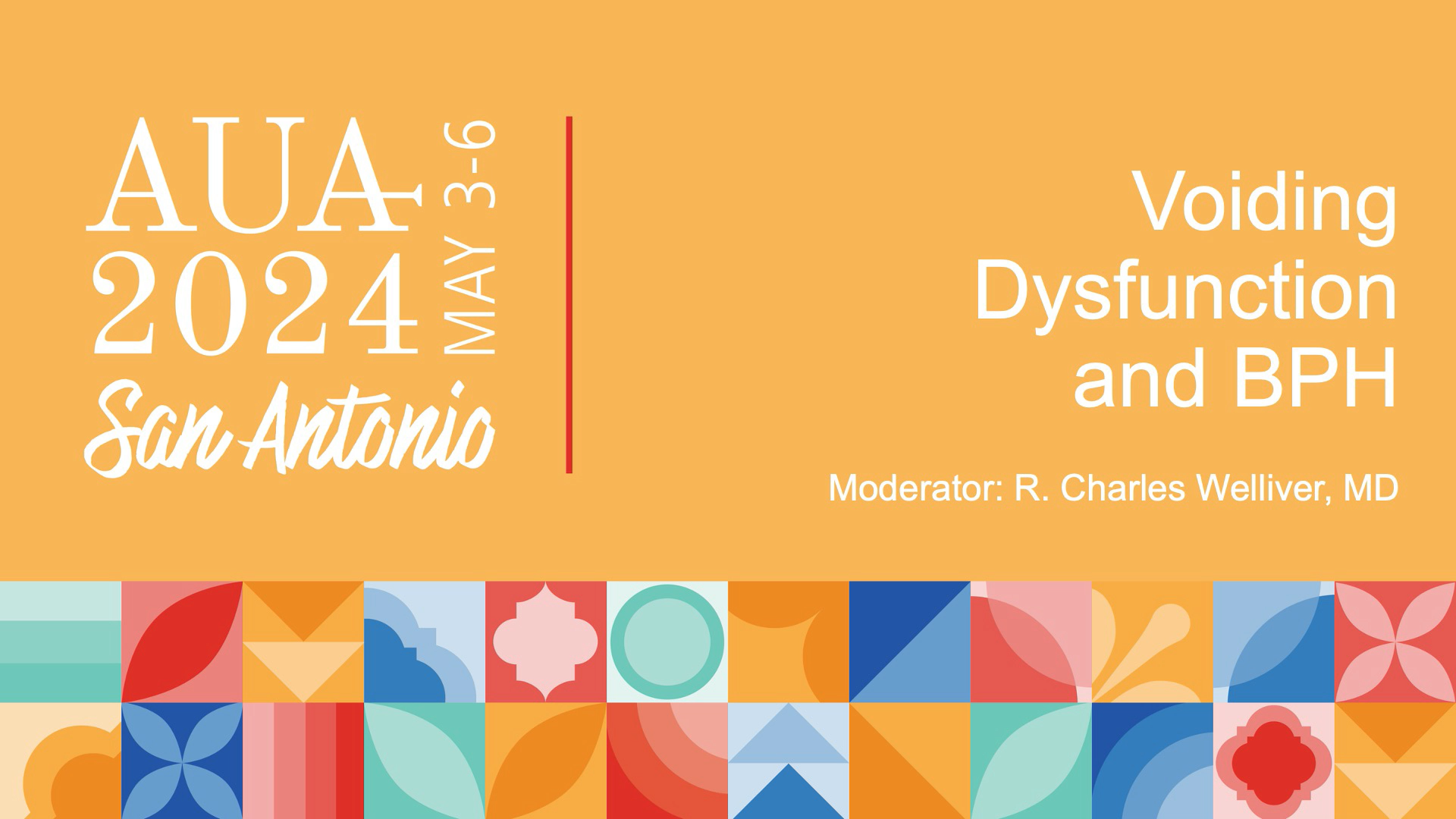 Voiding Dysfunction & BPH_PRESS PROGRAM-AUA2024